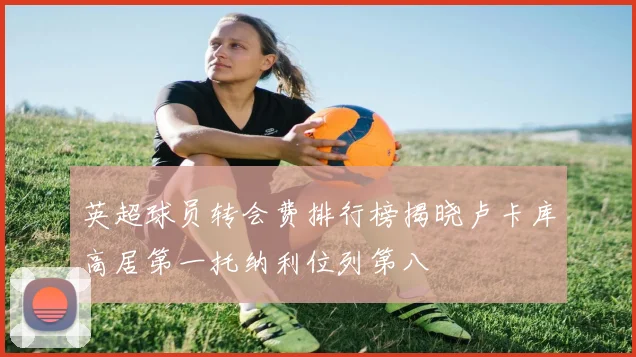 英超球员转会费排行榜揭晓卢卡库高居第一托纳利位列第八
